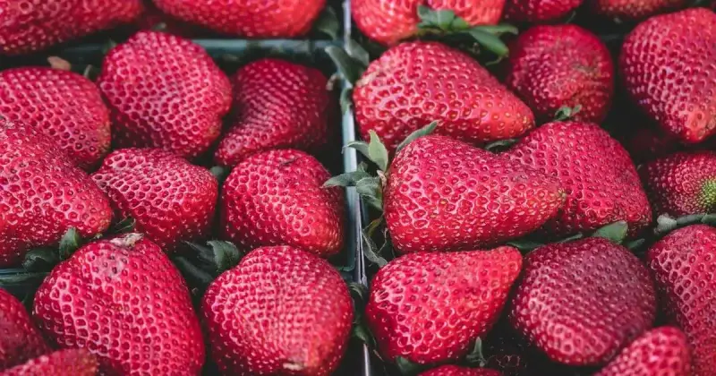 221(g) İdari İşlem: Süreç, Süreler ve Yapılması Gerekenler