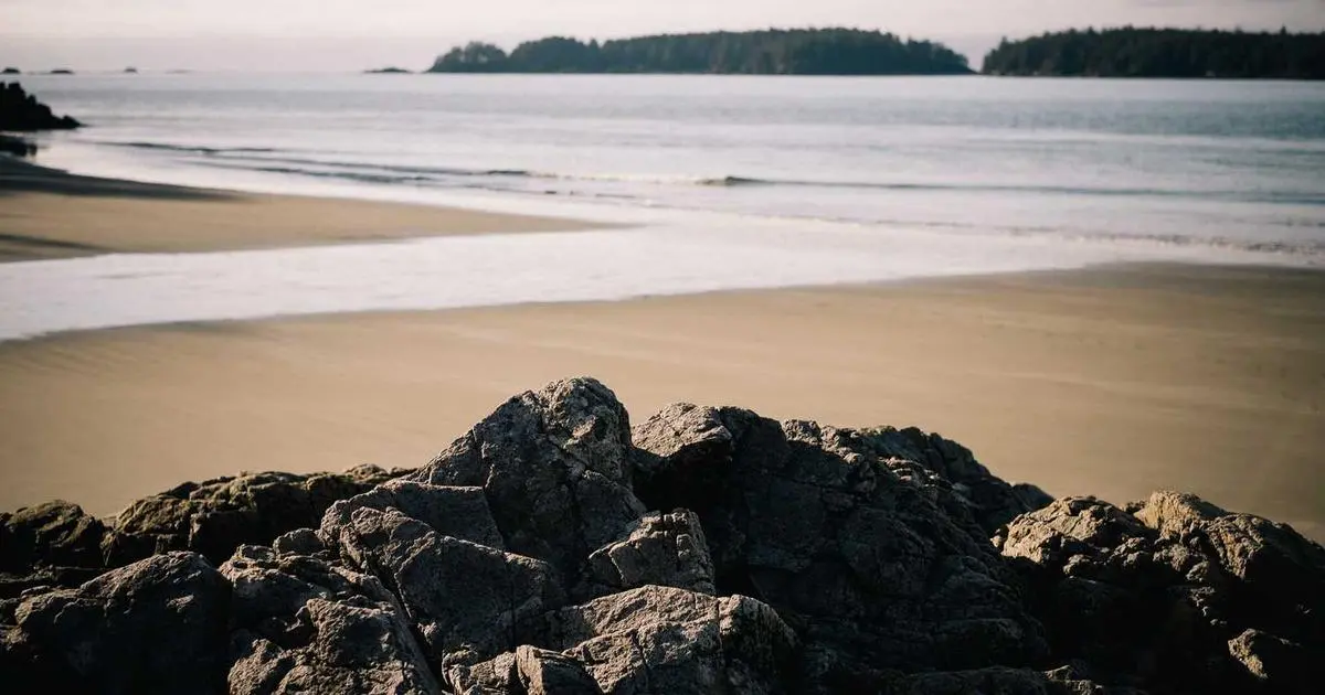 A collection of visa application documents on a desk