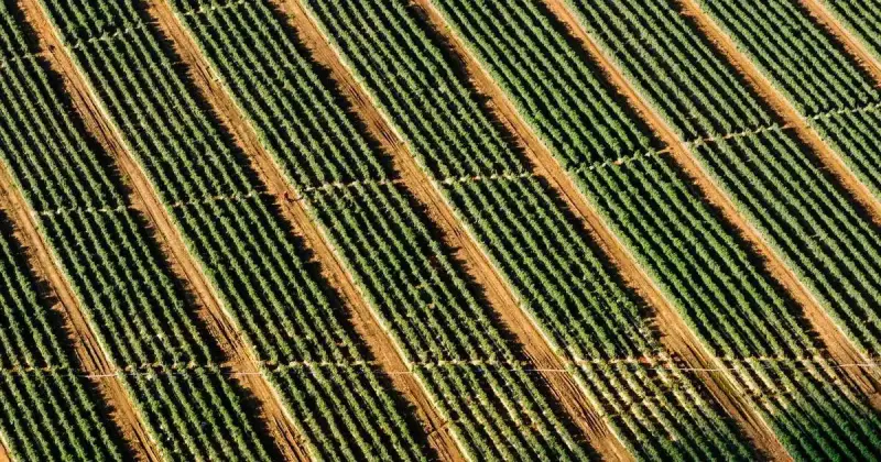 Mülakat Günü: Yanınıza Ne Götürmelisiniz? (Belge Checklist)