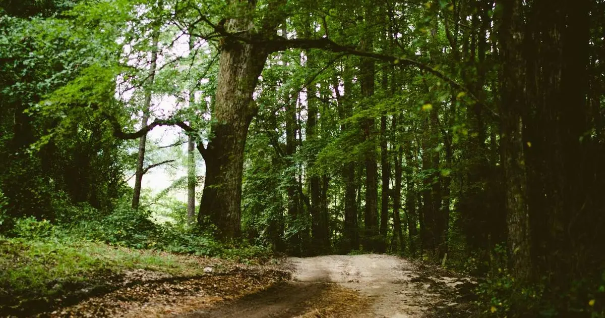 Pasaport Teslimi ve Kargo/Kurye Seçenekleri: En Doğru Yöntemler