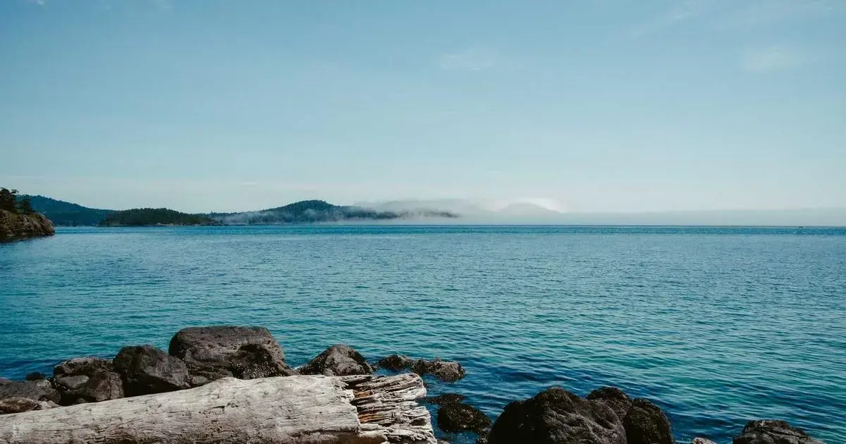 person filling USA visa DS-160 application form on computer screen