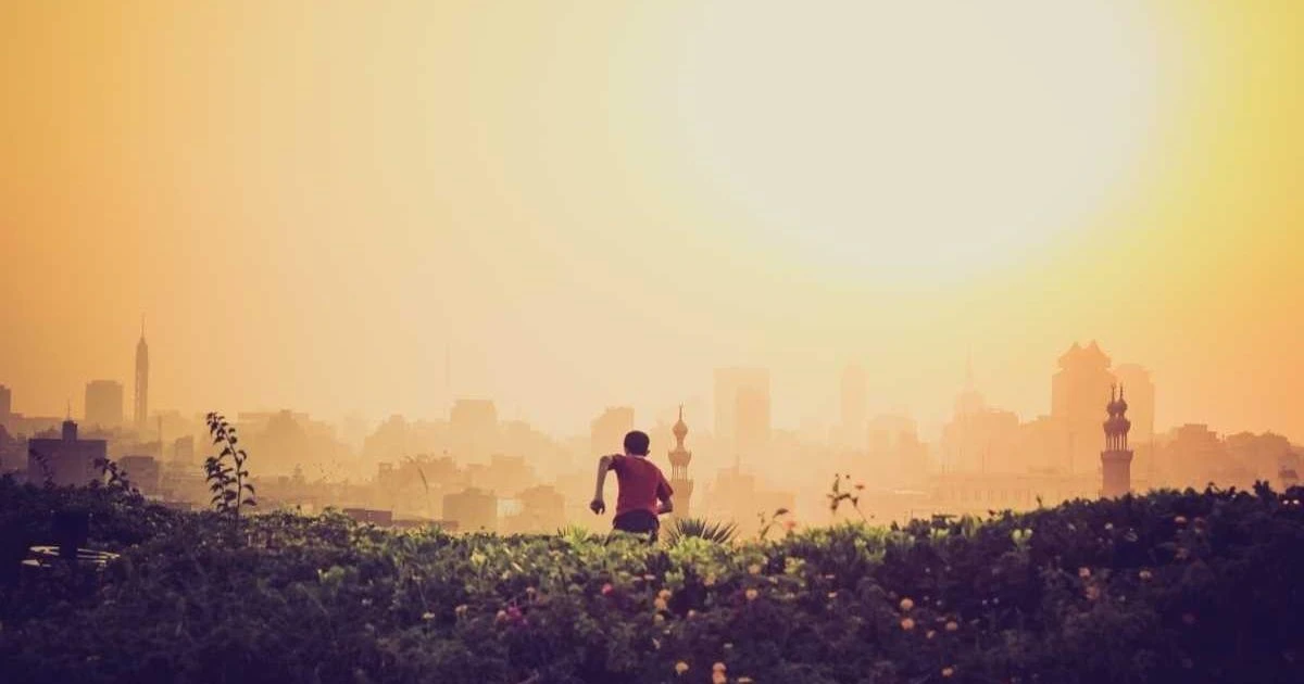 USA Diversity Visa Lottery application form displayed on a digital device