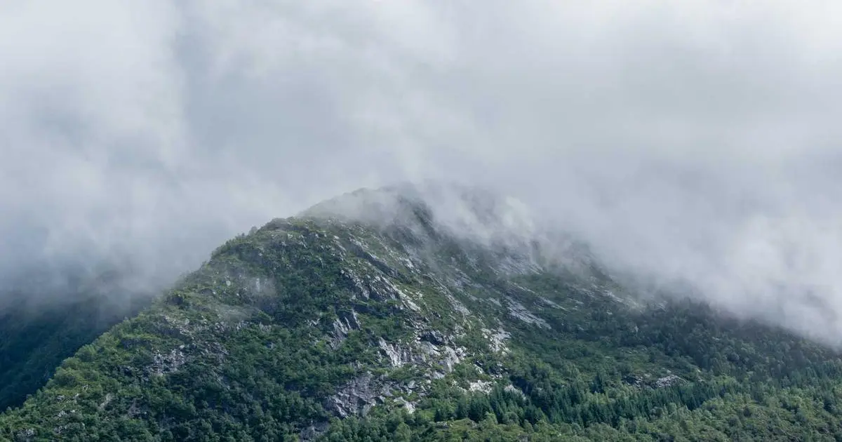 USA embassy appointment scheduling website interface