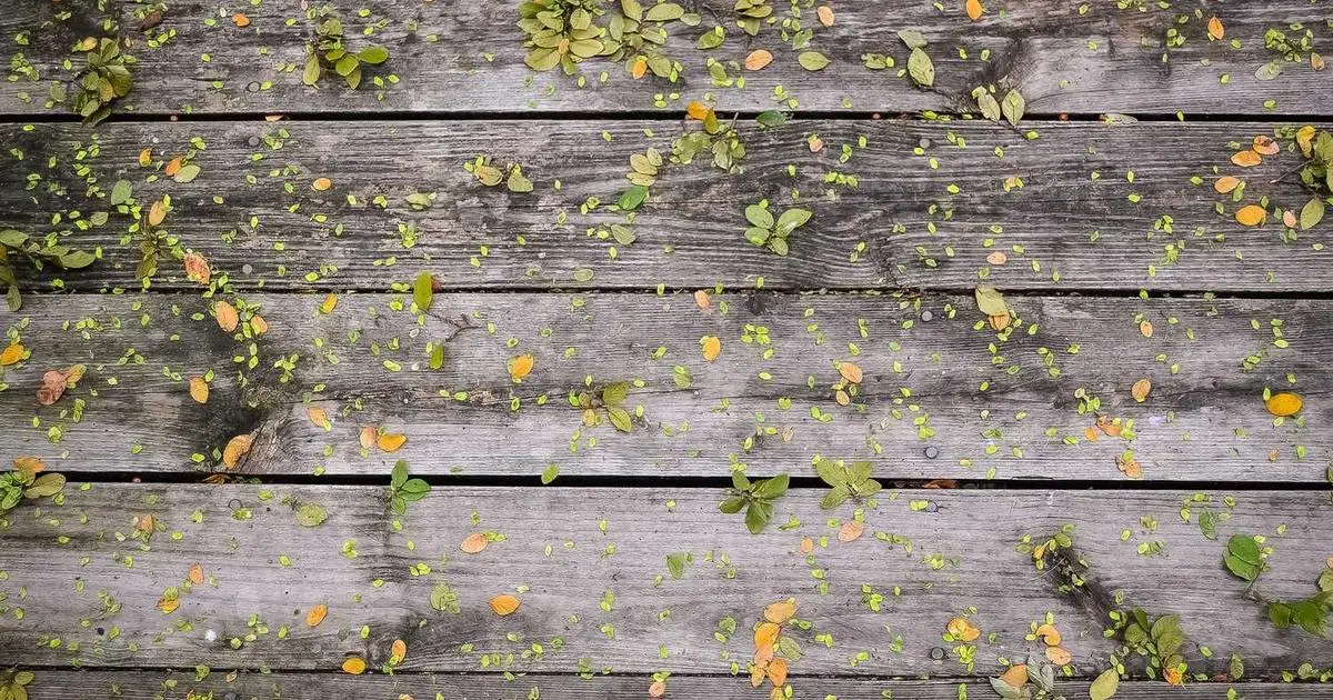 A person filling the USA visa DS-160 application form on a computer screen