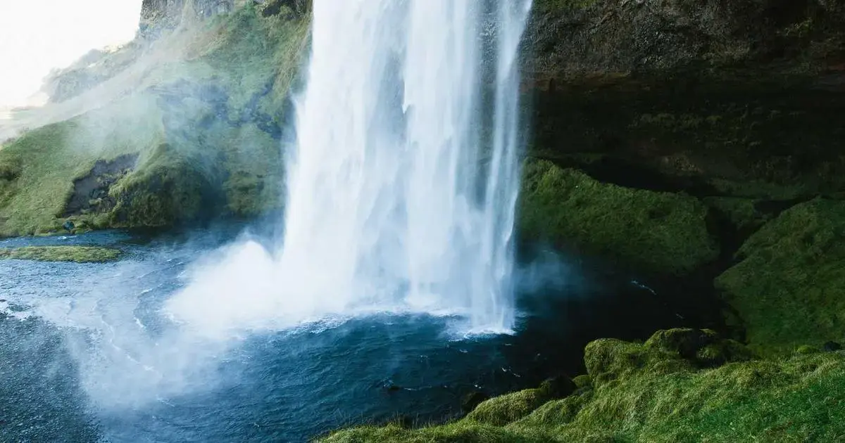 a person taking a visa photo with proper lighting and background conditions