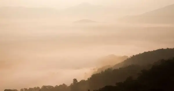 Amerika Vizesinde Çocuklar İçin Vize: Doğum Belgeleri ve Velayet Evrakları